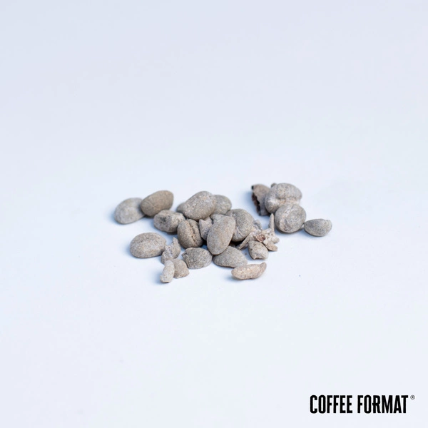 Coffee Format Grinder Cleaner+ 2x15g Środek do czyszczenia młynków kawy